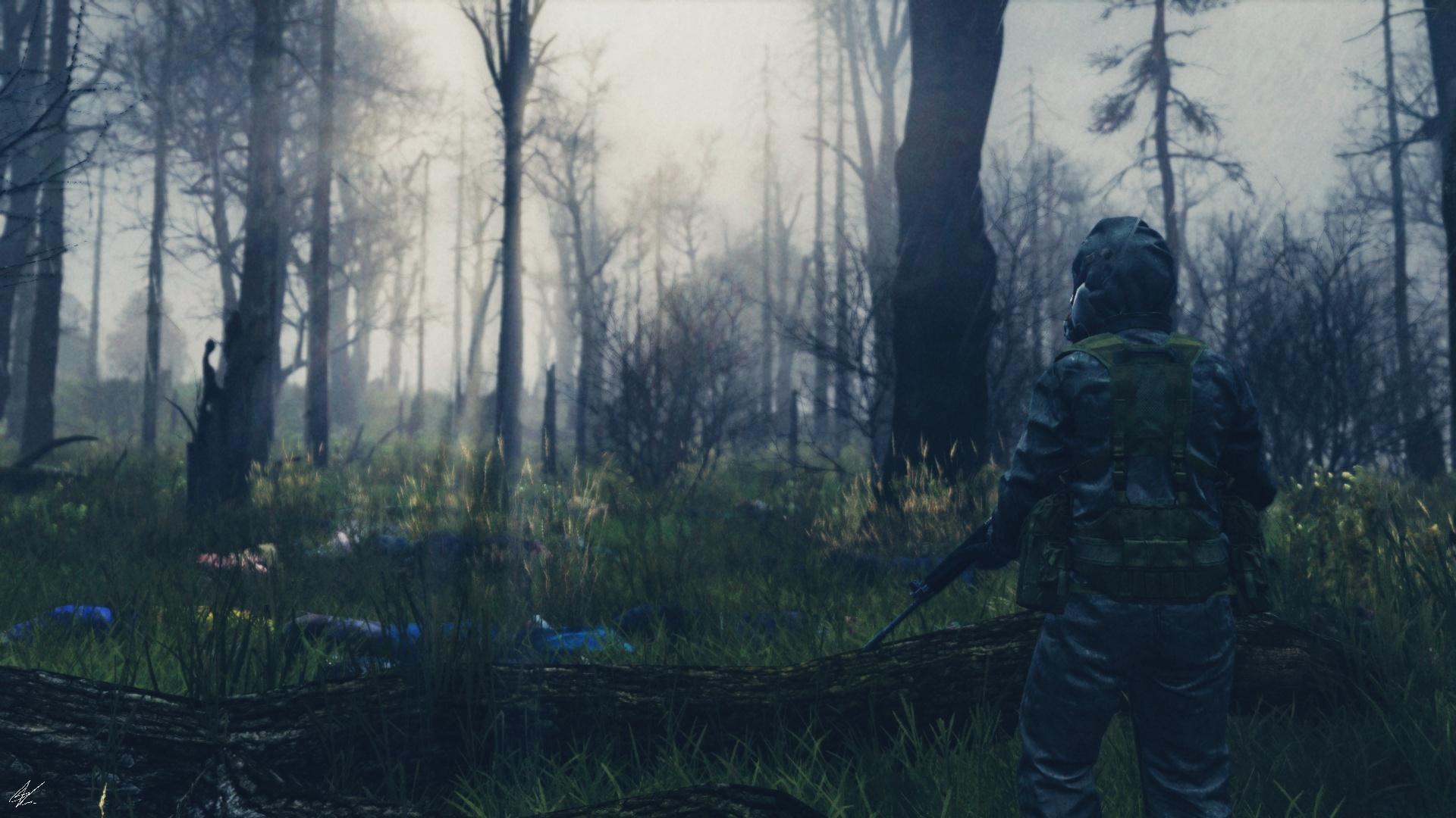 DayZ NFA background